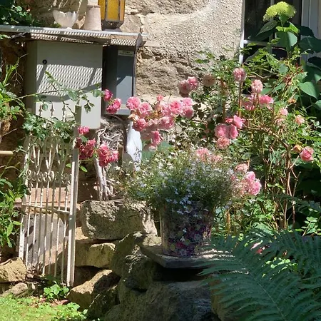 Firnhaber - Oberlausitz 公寓 *